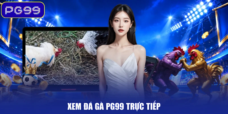 Xem đá gà PG99 trực tiếp